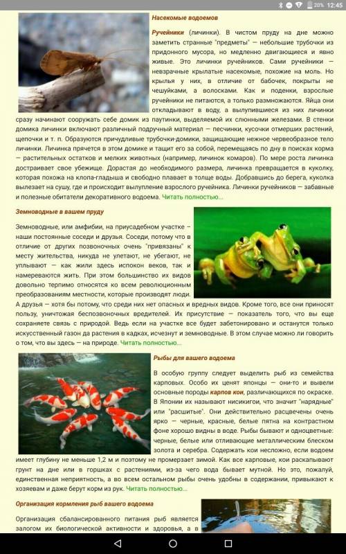 Краткое сообщение о любом обитателе водоема