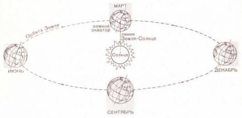 Куда повернуто северное полушарие земли в декабре - к солнцу или от него? в июле - к солнцу или от н
