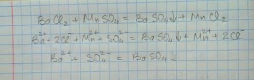 Молекулярно ионная уравнение bacl2 + mnso4