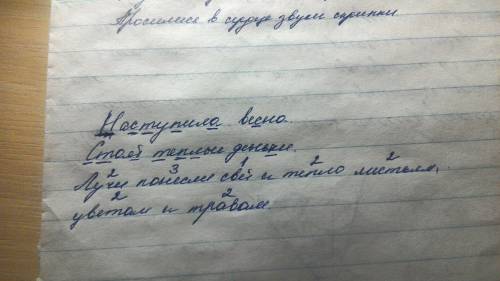 Впервом и втором предложениях подчеркни буквы мягких согласных звуков. над словами третьего поколени