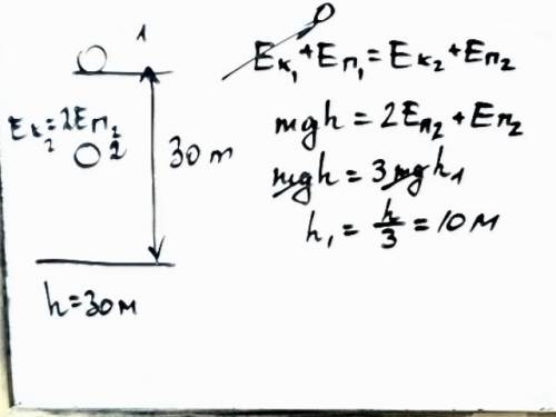 Тело падает с высоты 30 м. на какой высоте его кинетическая энергия будет в 2 раза больше потенциаль