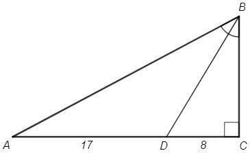 Биссектриса острого угла прямоугольного треугольника делит катет на отрезки длиной 8 см и 17 см. най