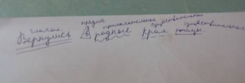 Короткая весенняя ночь.заиграл первый луч солнца.всюду проснулась жизнь. на зеленый лужок прилетели