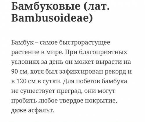 () 10 интересных фактов о покрытосеменных растений