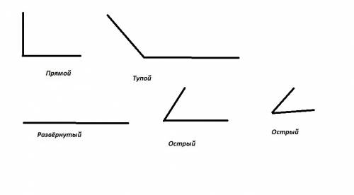 Начертить 5 произвольных углов ( острый, тупой, и.т.д)