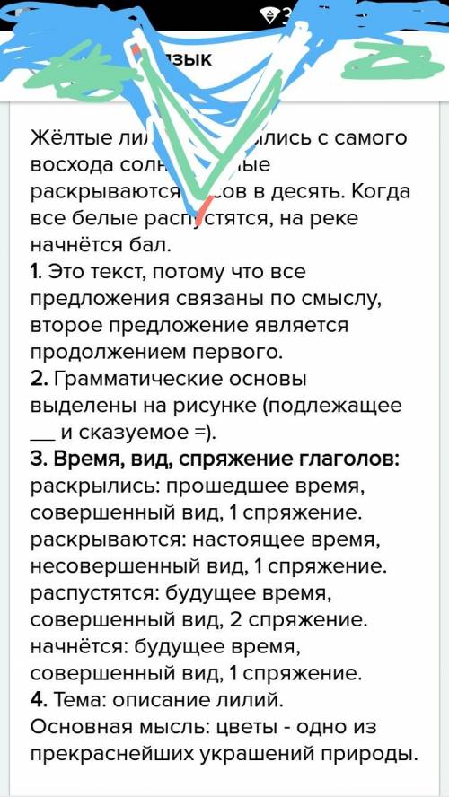 Жёлтые лилии раскрылись с самого восхода солнца, белые раскрываются часов в десять. когда все белые