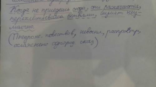 Сделать синтаксический разбор предложения: когда ни приедешь сюда, они раскачиваются, перехлёстываяс