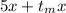 5x+ t_{m} x