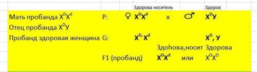 Пробанд - здоровая женщина . ее сестра также здорова , а два брата дальтонизмом . мать и сестра проб