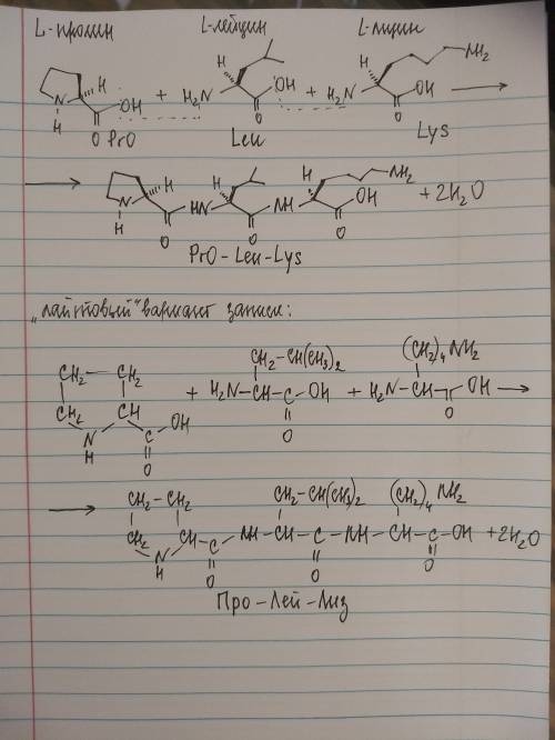 Напишите реакцию образования трипептида из пролина, лейцина и лизина.назовите этот трипептид.