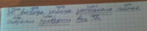 До восхода солнца затенькала пеночка, стараясь пробудить весь лес. подчеркнуть члены предложения и у