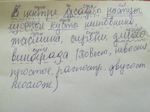 Вцентре усадьбы растут густые кусты шиповника, жасмина, сирени, дикого винограда. сделайте синтаксич