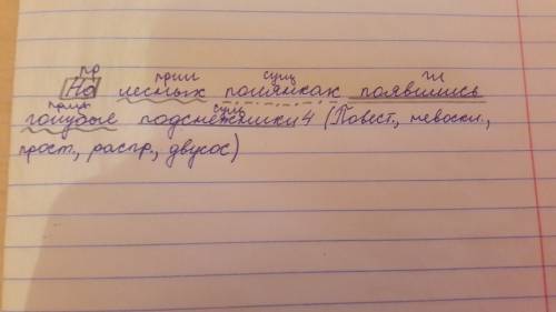 На лесных полянках появились голубые подснежники, разобрать синтетический разбор.