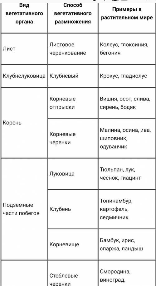 Примеры для бесполых размножения, а именно для спрообразования, почкования, фрагментации, вегетативн