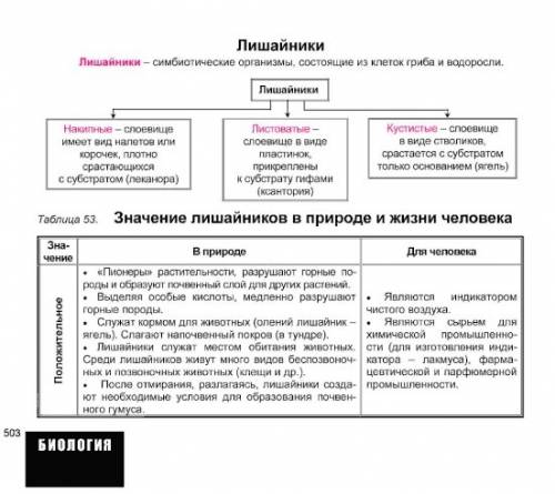 Каково значение лишайников в природе и в жизни человека биология 7 класс