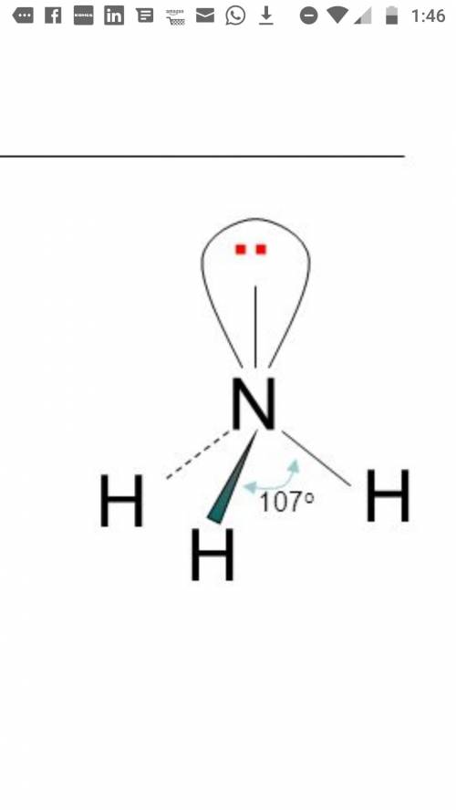 Определите характер связи между атомами в молекулах scl2 и nh3. укажите возможный тип гибридизации о