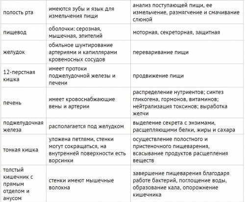 Строение пищеварительной системы человека синтез 8 класс биология таблица