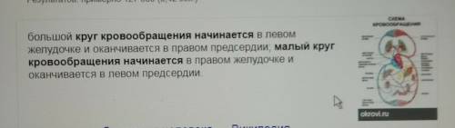 1)малый круг кровообращение начинается: 1)аортой 2)легочными венами 3)легочным стволом 4)полыми вена