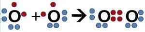 Вариант 1 1. на основе ковалентной неполярной связи образовано вещество, формула которого 1)na 2) ca