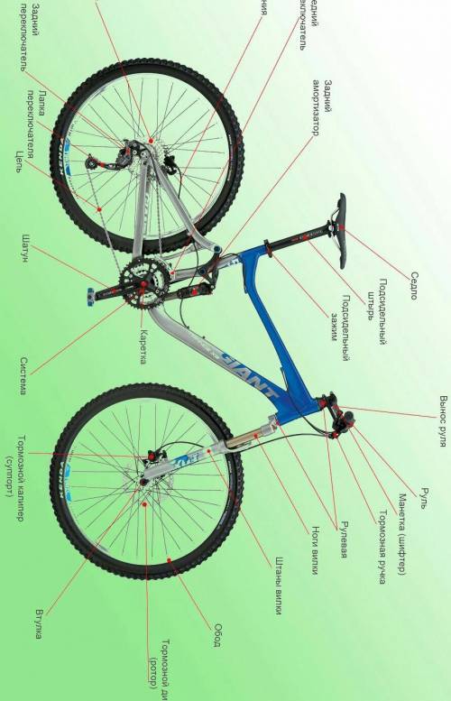 1) назвать основные детали и узлы велосипеда. 2) пдд не требует чтобы велосипедисты имели специальну