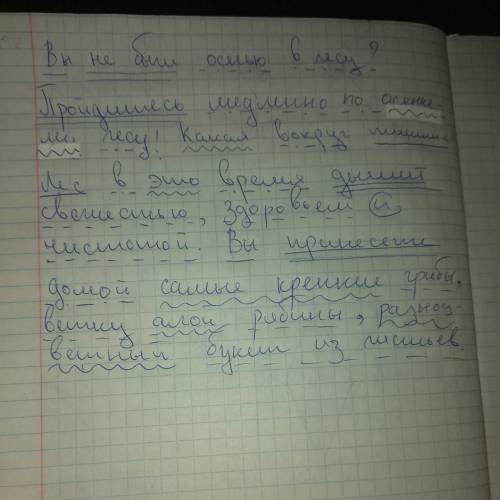 Разобрать по членам.предложения вы не были осенью в лесу? пройдитесь медленно по осеннему лесу! кака