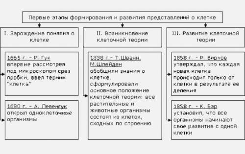 1. (10 ) что изучает цитология? 2. (20 ) охарактеризуйте этапы накопления научных знаний о клетке.