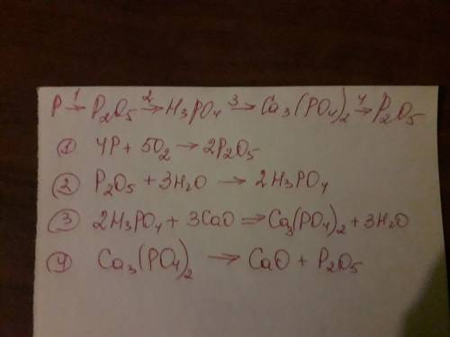 Цепочка: p - p2o5 - h3po4 - ca3(po4)2 - p2o5