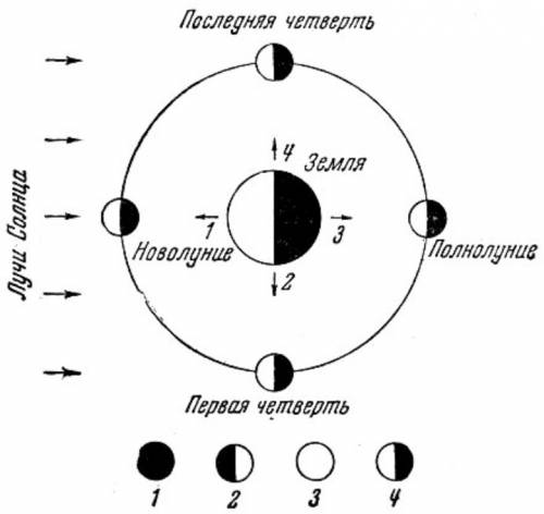 Нарисуйте вид луны между первой четвертью и полнолунием