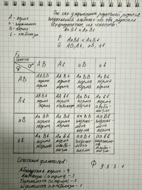 Іть будь ласка, 49 ів, розв'яжіть : у нормальних батьків народилася дитина - глухонімий альбінос. ви