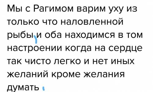 Мы с рагимом варим уху из только что наловленной рыбы и оба находимся в том настроении когда на серд