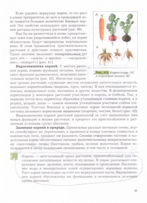 Краткий пересказ пономарёва 6 класс корень его строение и значение