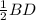 \frac{1}{2} BD\\