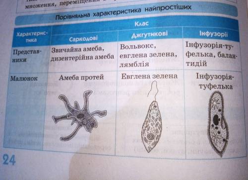 Составьте сравнительную таблицу 3-х простейших (эвглена зелёная, инфузории, амёба) . критерии сравне