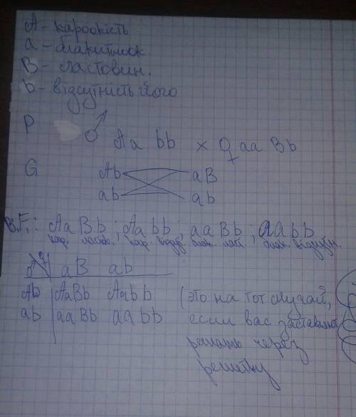 Улюдини кароокість і наявність ластовиння-домінантні ознаки. кароокий без ластовиння чоловік одружив