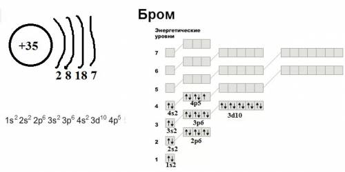 Дайте характеристику элемента по периодической системе элемента № 74 и 35