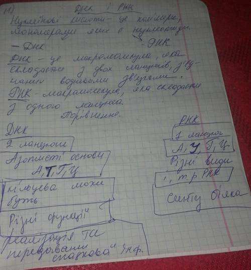 Узагальнення з теми «вступ. хімічний склад клітини та органічні молекули» (біологія 9 клас) іі варіа