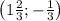 \left(1 \frac{2}{3};- \frac{1}{3} \right)