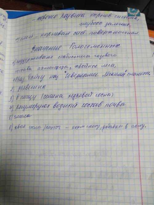 Значение саговниковых , гинкговых , хвойных и эфедровых растений в природе и в жизни человека