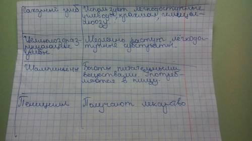 15 сделайте на тетради таблицу грибы и их функции в одном столбике грибы в другой их функции сделайт