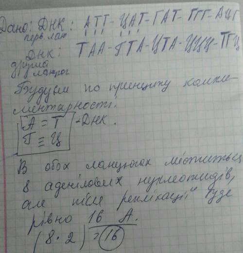 Один із ланцюгів днк має послідовність атт цат гат ацг.визначте послідовність нуклеотидів другого ла