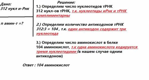 1)и-рнк состоит из 312 нуклеотидов.сколько аминокислот закодировано на ней? (записать решение): 2)уч