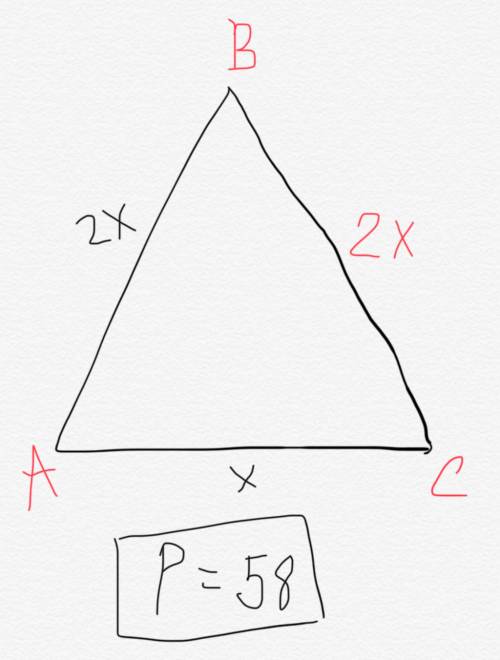 Найдите стороны равнобедренного треугольника если его периметр равен 58 см, а основание в 2 раза мен