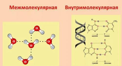 Дайте характеристику водородной связи пример