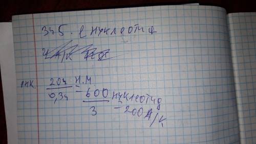 Определите количество аминокислот белка, синткзируемого с и-рнк длиной до 204нм