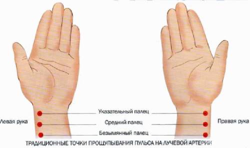 Измерьте пульс в состоянии покоя.для этого сделайте 3-4 измерения за 10 секунд и среднее значение ум