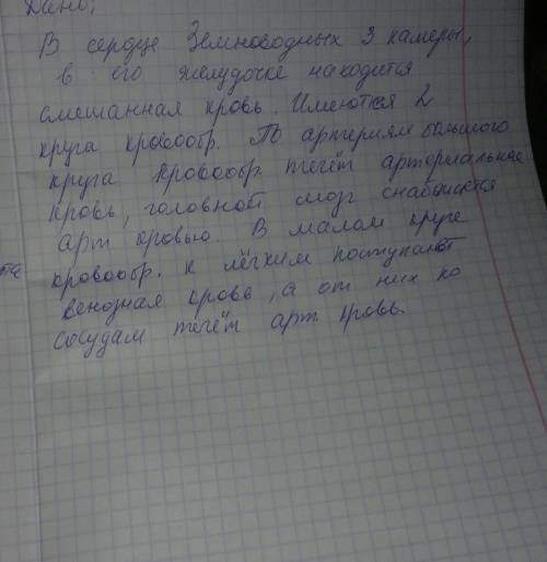 Всердце земноводных камеры, в его желудочке находится кровь. имеются круга кровообращения. по артери