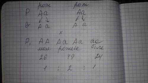 Много умоляю о боги биологии, буду век , моему светлому будущему) завдання 2. під час схрещування дв