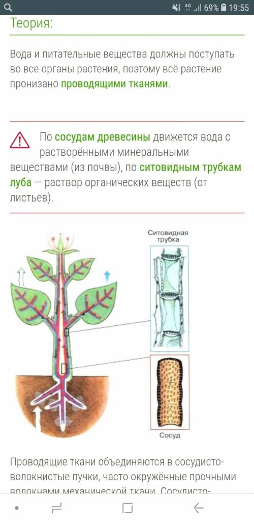 Конспект на тему передвижение веществ у растений. , напишите. много .