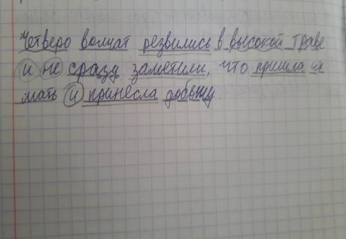 Сделать синтаксический разбор предложения) : четверо волчат резвились в высокой траве и не сразу зам