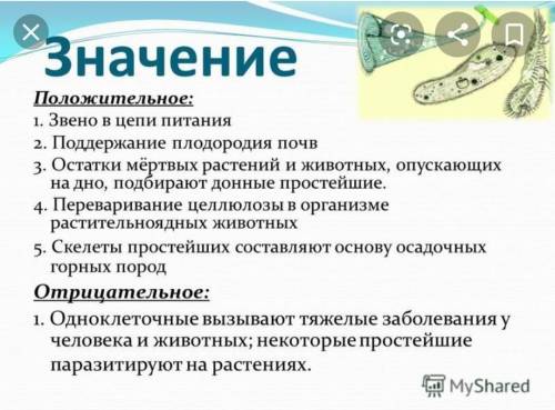 Значение простейших. положительные и отрицательные ! !